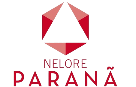 Nelore Paranã